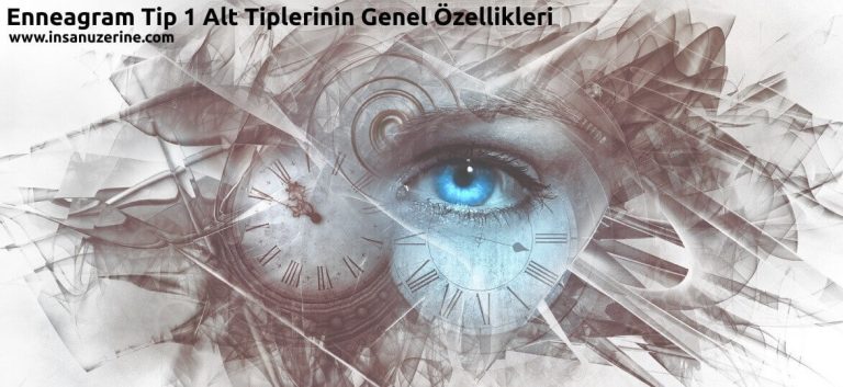 Enneagram Tip 1 Alt Tiplerinin Genel Özellikleri
