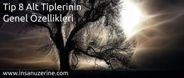 Enneagram Tip 8 Alt Tiplerinin Genel Özellikleri