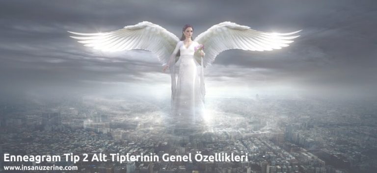 Enneagram Tip 2 Alt Tiplerinin Genel Özellikleri